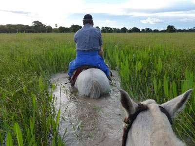 Voyage au Brésil de Lucille et Noël