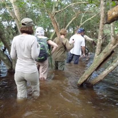 Voyage au Brésil de Lucille et Noël
