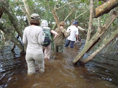 Voyage au Brésil de Lucille et Noël