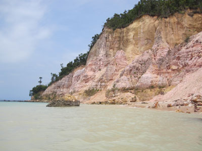 Voyage au Brésil d'Estelle