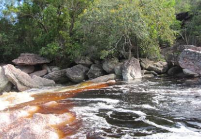 Voyage au Brésil d'Estelle