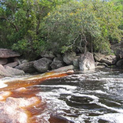 Voyage au Brésil d'Estelle