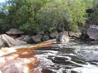 Voyage au Brésil d'Estelle