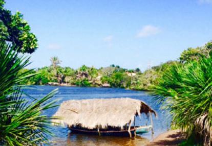 Voyage au Brésil de la Famille de Sophie