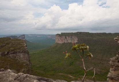 Voyage au Brésil de Claude P.