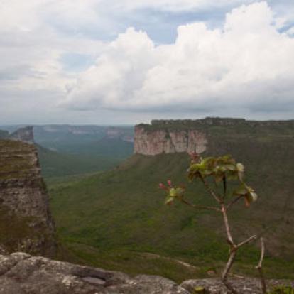 Voyage au Brésil de Claude P.