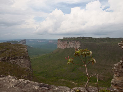 Voyage au Brésil de Claude P.
