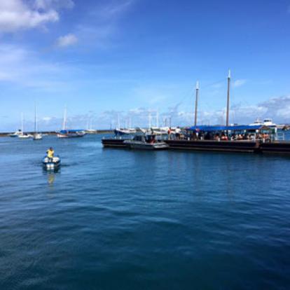 Voyage au Brésil de Sylvie