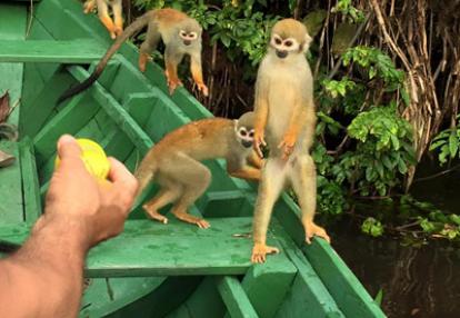 Voyage au Brésil de Sylvie