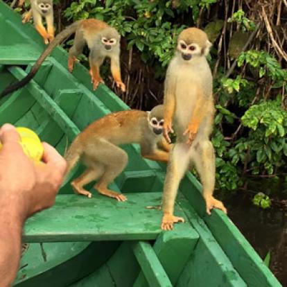 Voyage au Brésil de Sylvie