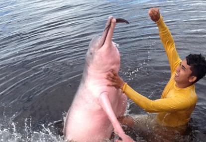 Voyage au Brésil de Sylvie