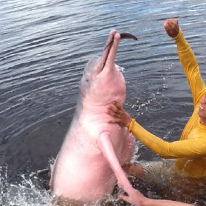 Voyage au Brésil de Sylvie