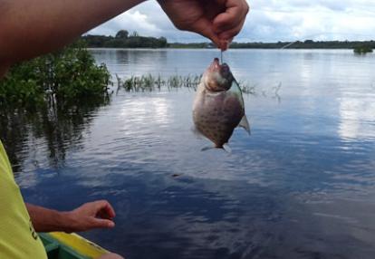 Voyage au Brésil de Sylvie