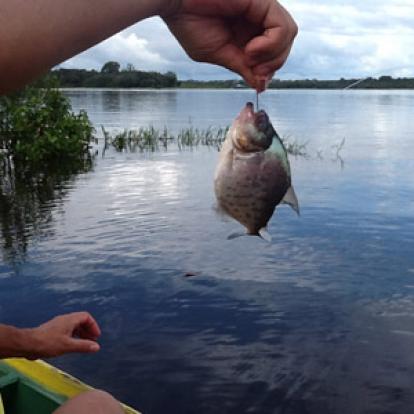 Voyage au Brésil de Sylvie