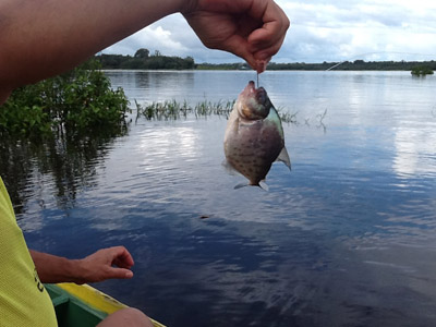 Voyage au Brésil de Sylvie