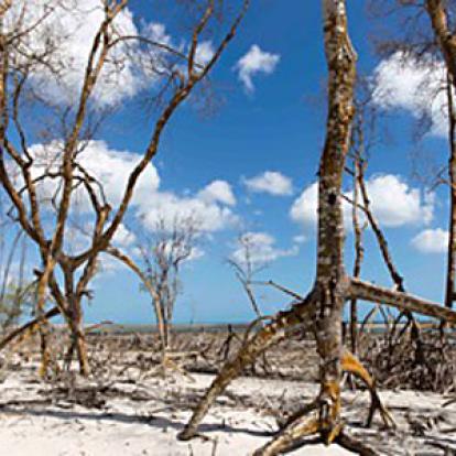 ©Stéphanie Et Thomas H. - Tous Droits Réservés Voyage au Brésil de  Stéphanie et Thomas