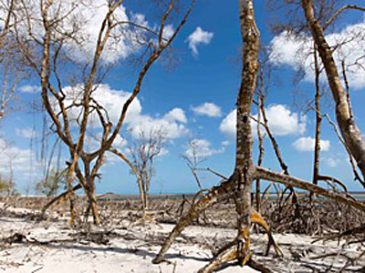 ©Stéphanie et Thomas H. - Tous Droits réservés Voyage au Brésil de  Stéphanie et Thomas