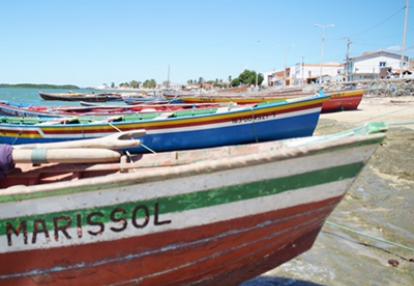 Voyage au Brésil de  Stéphanie et Thomas