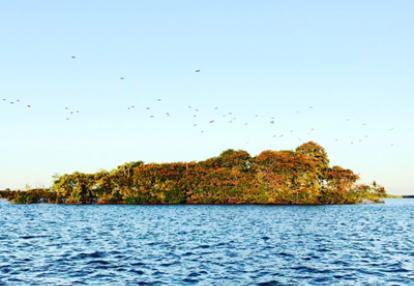 Voyage au Brésil de  Stéphanie et Thomas