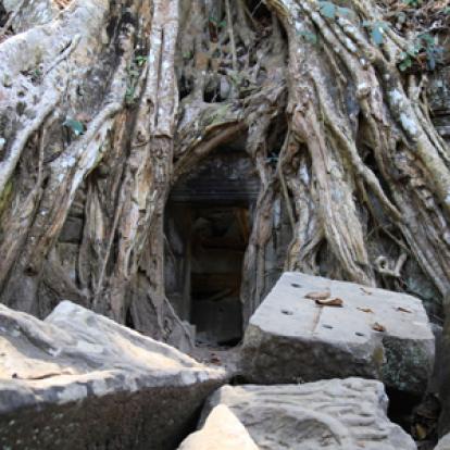 ©Christophe B. - Tous Droits réservés