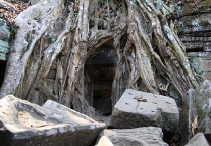 ©Christophe B. - Tous Droits réservés Voyage au Cambodge de Christophe