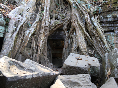 Voyage au Cambodge de Christophe