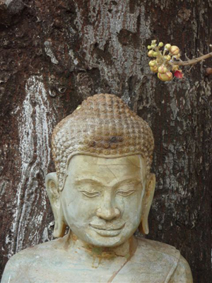 Voyage au Cambodge de Magali