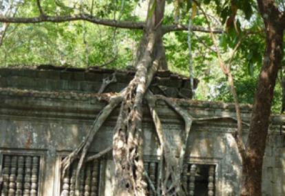 Voyage au Cambodge de Magali