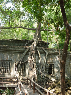 Voyage au Cambodge de Magali