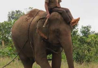 Voyage au Cambodge de Laurence L.
