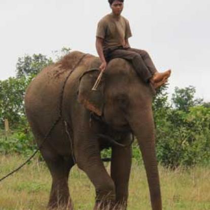 Voyage au Cambodge de Laurence L.