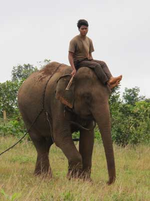 Voyage au Cambodge de Laurence L.