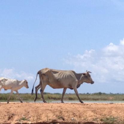 ©Corinne M. - Tous Droits Réservés Voyage au Cambodge de Corinne M.