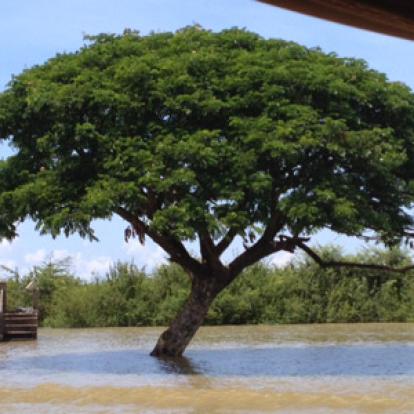 ©Corinne M. - Tous Droits Réservés Voyage au Cambodge de Corinne M.