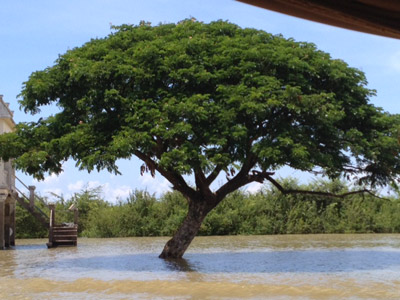 ©Corinne M. - Tous Droits réservés Voyage au Cambodge de Corinne M.