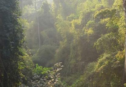 Voyage au Cambodge d'Annick et Jacques B.