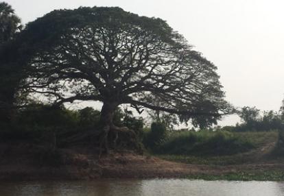 Voyage au Cambodge du Groupe de Françoise.