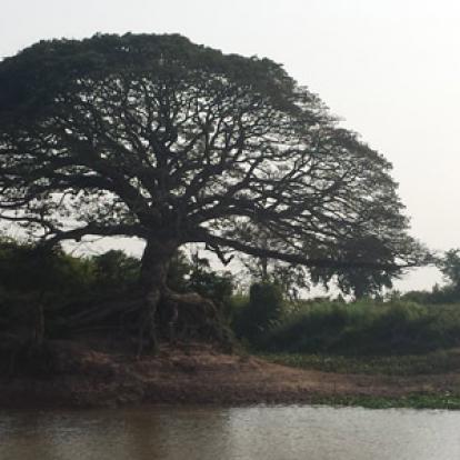 Voyage au Cambodge du Groupe de Françoise.