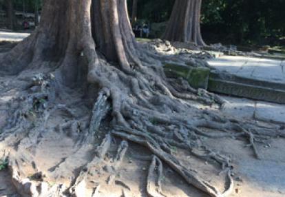 Voyage au Cambodge de Marie-Jeanne