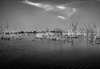 Voyage au Cambodge de de Pascal & Jean-Bernard