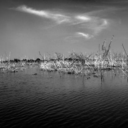 Gisèle R. - Tous Droits Réservés Voyage au Cambodge de de Pascal & Jean-Bernard