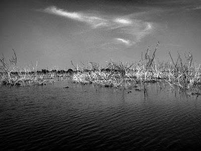 Gisèle R. - Tous Droits réservés Voyage au Cambodge de de Pascal & Jean-Bernard