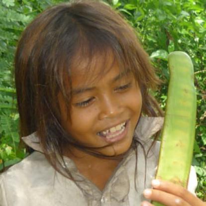 Voyage au Cambodge - Frédéric P.