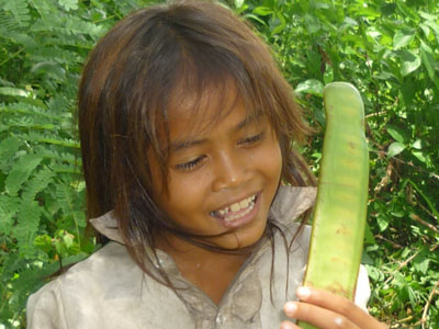 Voyage au Cambodge - Frédéric P.