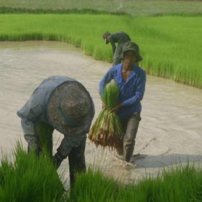 Voyage au Cambodge - Frédéric P.