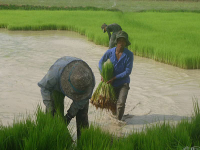 Voyage au Cambodge - Frédéric P.