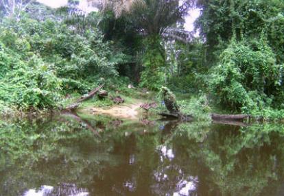 Voyage au Cameroun de Pierre