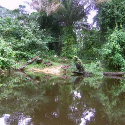 Voyage au Cameroun de Pierre