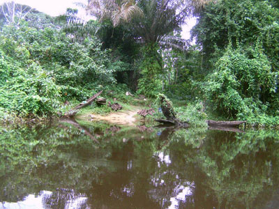 Voyage au Cameroun de Pierre