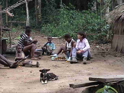 Voyage au Cameroun de Pierre